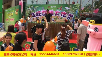 哪有呆萌馬戲團表演出租赤壁市_山東金鵬動物租賃 - 商國互聯(lián)網(wǎng)