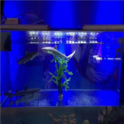 玉林大型馬戲團表演出租出租專業(yè)租賃服務(wù)商