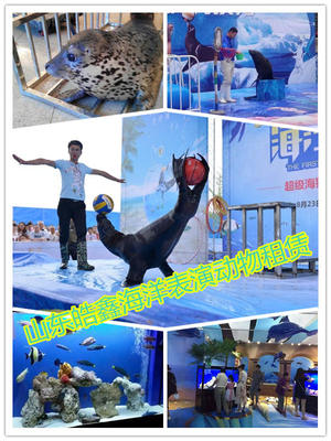 哪有馬戲團表演出租廣西省貴港市人員雜技租賃