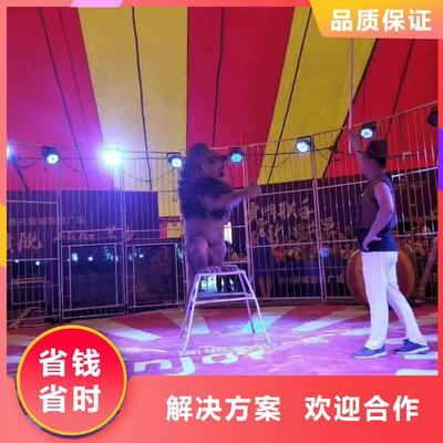 哪有出租動物的免費策劃