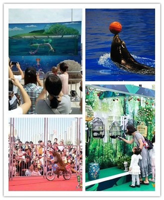 無錫什么地方有動物表演租賃