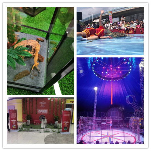 親子互動馬戲團表演出租抓緊預定租賃馬戲團表演