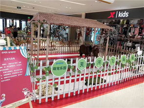 萌寵動(dòng)物租賃養(yǎng)殖衢州