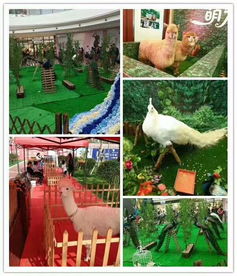 萌寵展覽動(dòng)物租賃羊駝出租