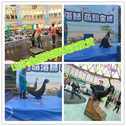 馬戲團(tuán)表演出租六安市