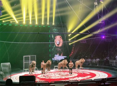 山西省呂梁市本地馬戲團(tuán)表演海獅出租節(jié)目豐富多少錢