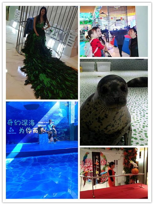 樟樹(shù)市馬戲團(tuán)表演出租哪有