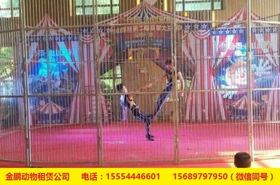 專業(yè)馬戲團表演團體出租租賃鶴壁_養(yǎng)殖/種植欄目_