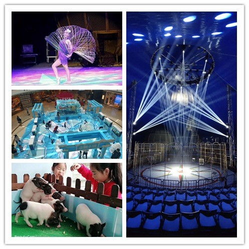 慈溪市馬戲團表演出租什么地方有