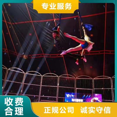 馬戲團/羊駝萌寵動物展出租誠信放心