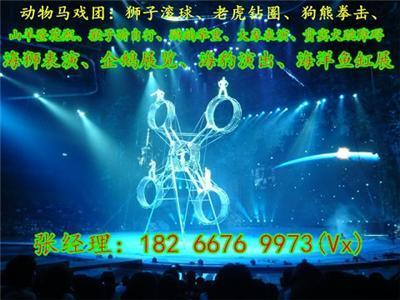 秦皇島羊駝動(dòng)物租賃