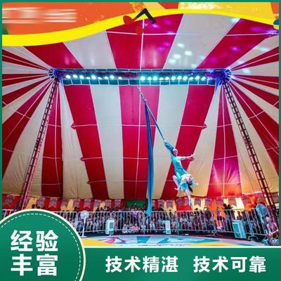 【馬戲團(tuán)/羊駝】-【海獅表演租賃】服務(wù)周到