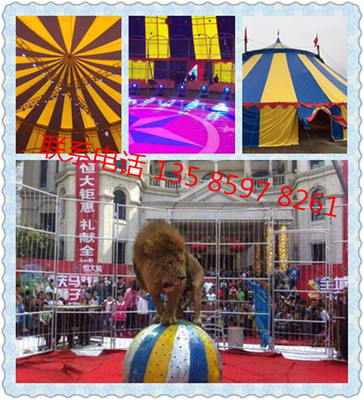 貴陽(yáng)哪里有馬戲團(tuán)表演怎么聯(lián)系馬戲團(tuán)演出什么價(jià)錢(qián)