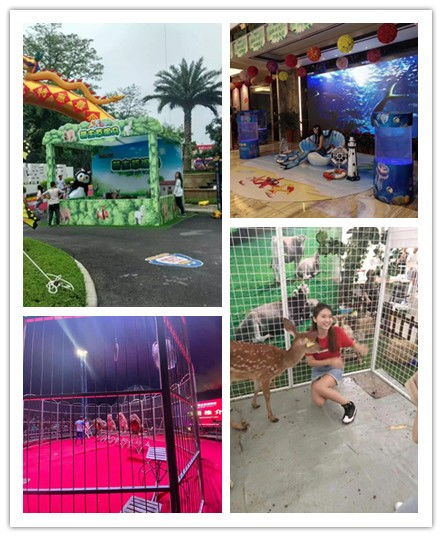 甘肅合作市雜技表演出租馬戲團(tuán)百鳥展