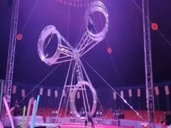 馬戲團(tuán)表演出租
