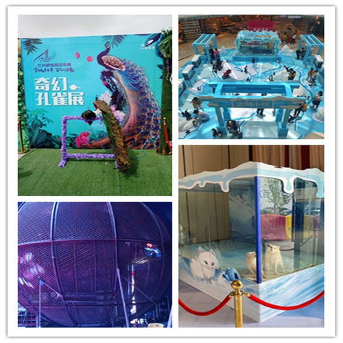 臨夏市對外馬戲團(tuán)表演出租