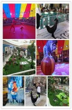 畢節(jié)區(qū)大方縣海洋觀賞魚展覽租賃