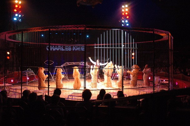 常年供應(yīng)馬戲團(tuán)雜技表演環(huán)球飛車雜技表演萌寵雜技租賃圖片_高清圖_細(xì)節(jié)圖