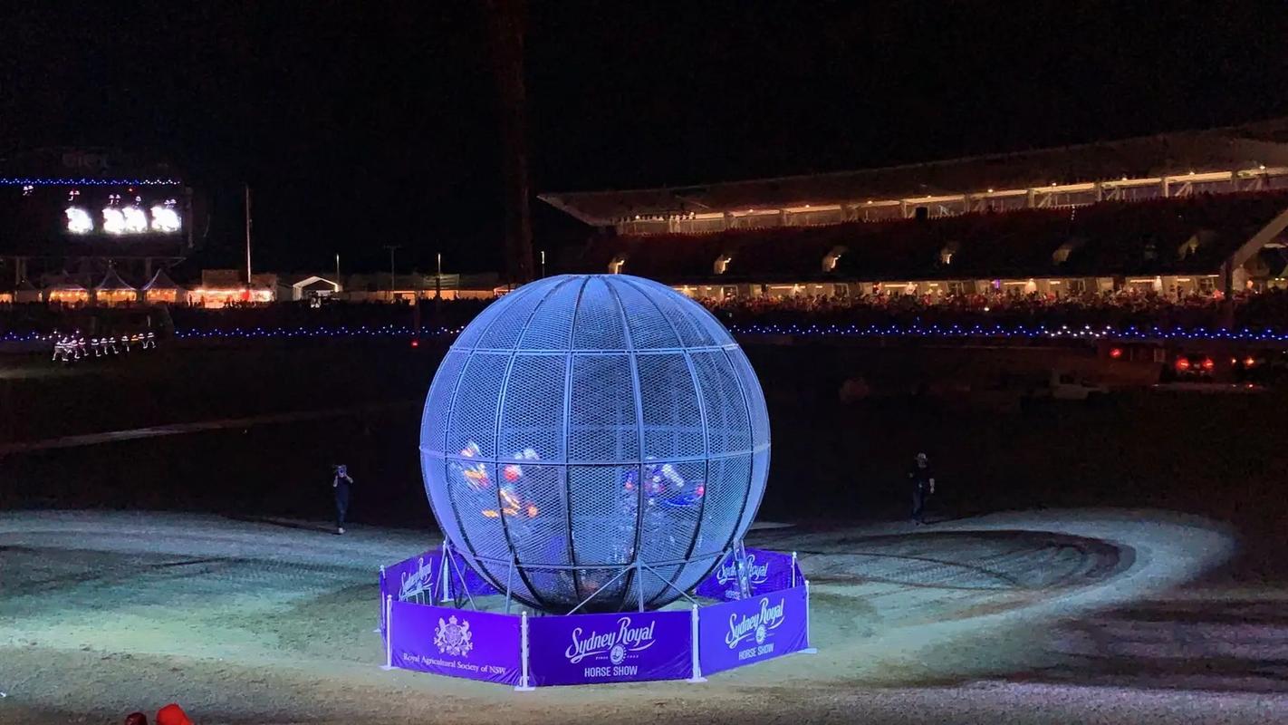 萌寵展出租馬戲團(tuán)鸚鵡表演.#萌寵 #神奇動(dòng)物在抖音 #萌寵出