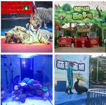 威海哪有鸚鵡表演出租,馬戲團(tuán)表演租賃_志趣網(wǎng)