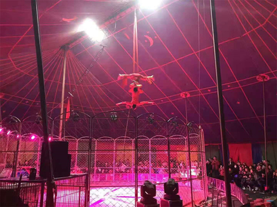 臨夏市馬戲團(tuán)租賃表演