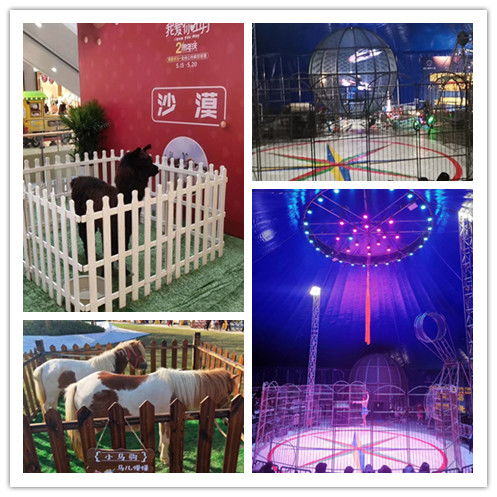 河南鹿邑市海獅表演租賃