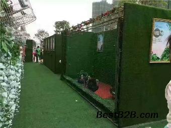 荊門市馬戲團表演海獅房地產動物租賃公司