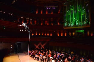 費城迎來視聽盛宴：馬戲團演出租賃服務引爆全城熱潮