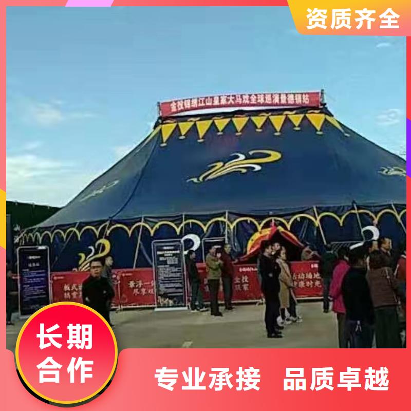 創意活動新風尚 馬戲團表演、羊駝出租與海獅互動好評如潮，冰雕展出租賃點亮城市魅力